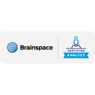 Brainspace Analyst