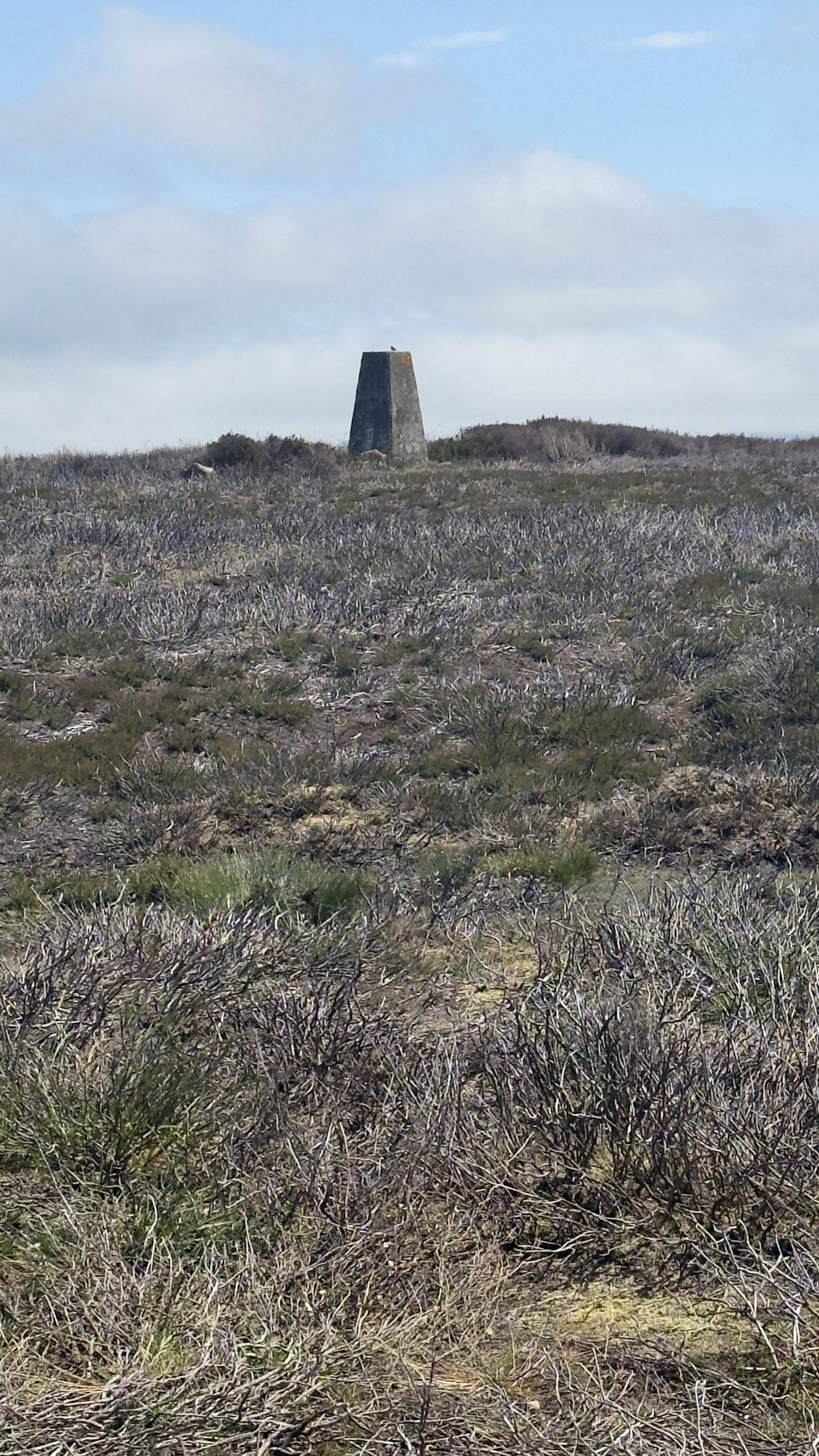 The trig point, exposed open moorland, no shade anywhere