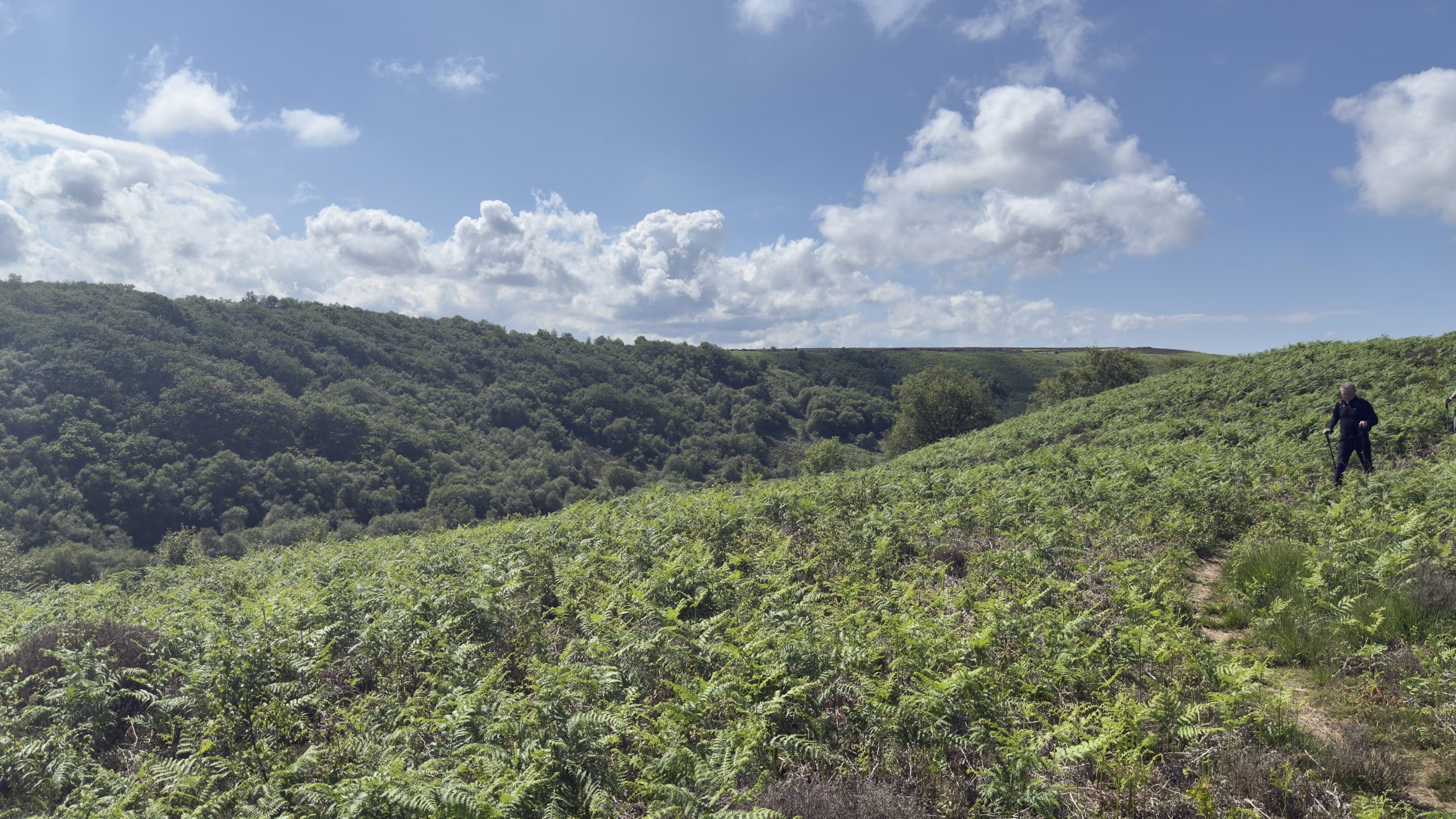The fern-covered valley, relentless up-and-down terrain