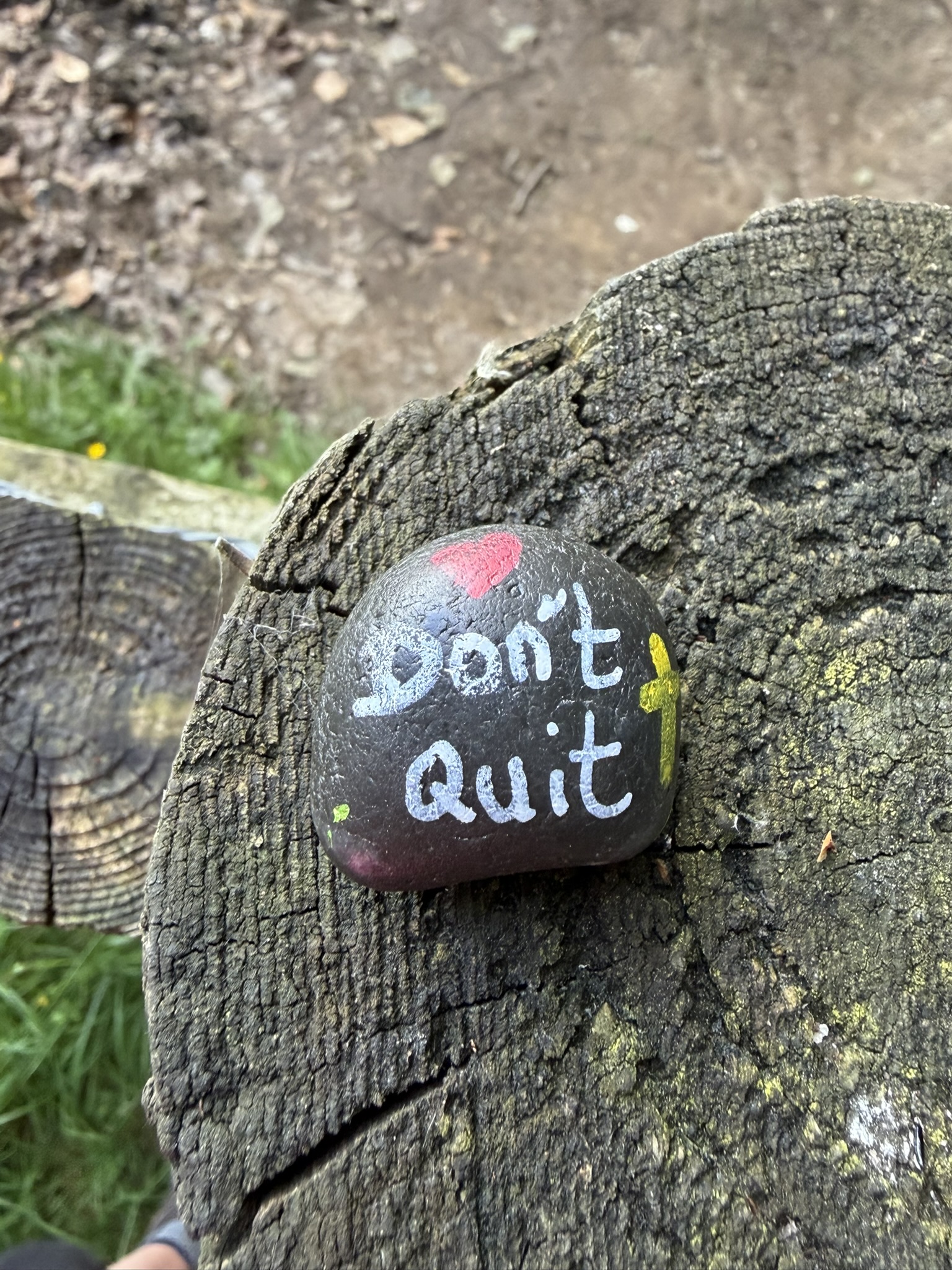 The Don't Quit painted stone